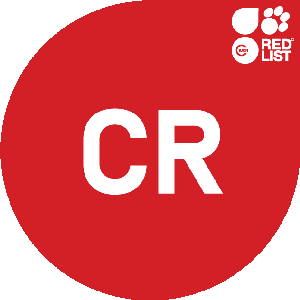 IUCN Red List - Critically Endangered