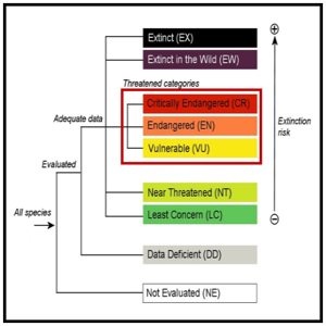 IUCN Red List Classifications