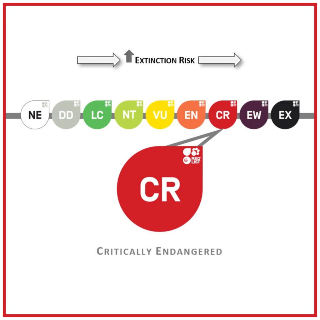 IUCN Critically Endangered