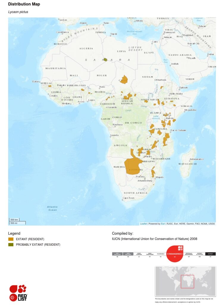 African Wild Dog Range