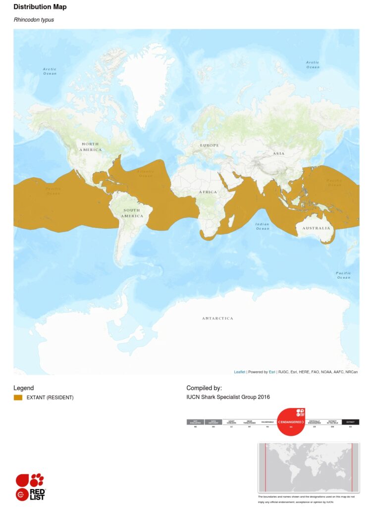 Whale Shark Range