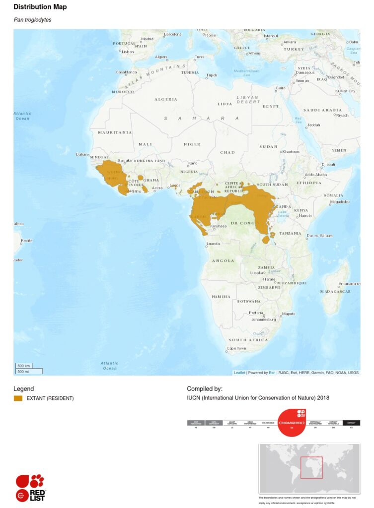 Chimpanzee Range